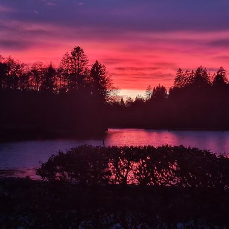 Hotel Waldsee Lindenberg im Allgäu Eksteriør billede