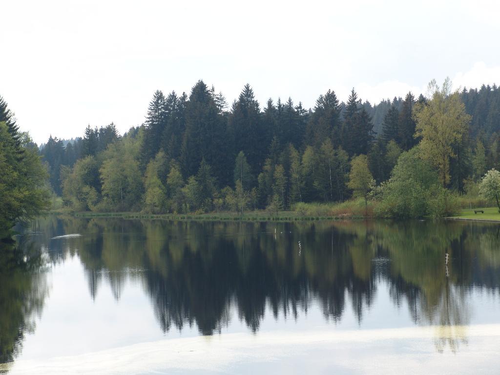 Hotel Waldsee Lindenberg im Allgäu Eksteriør billede