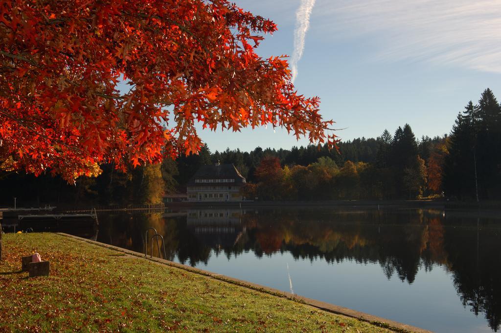 Hotel Waldsee Lindenberg im Allgäu Eksteriør billede