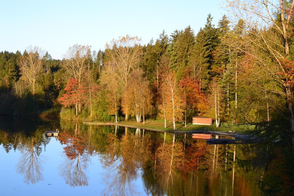 Hotel Waldsee Lindenberg im Allgäu Eksteriør billede