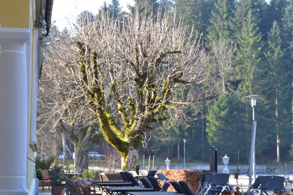 Hotel Waldsee Lindenberg im Allgäu Eksteriør billede
