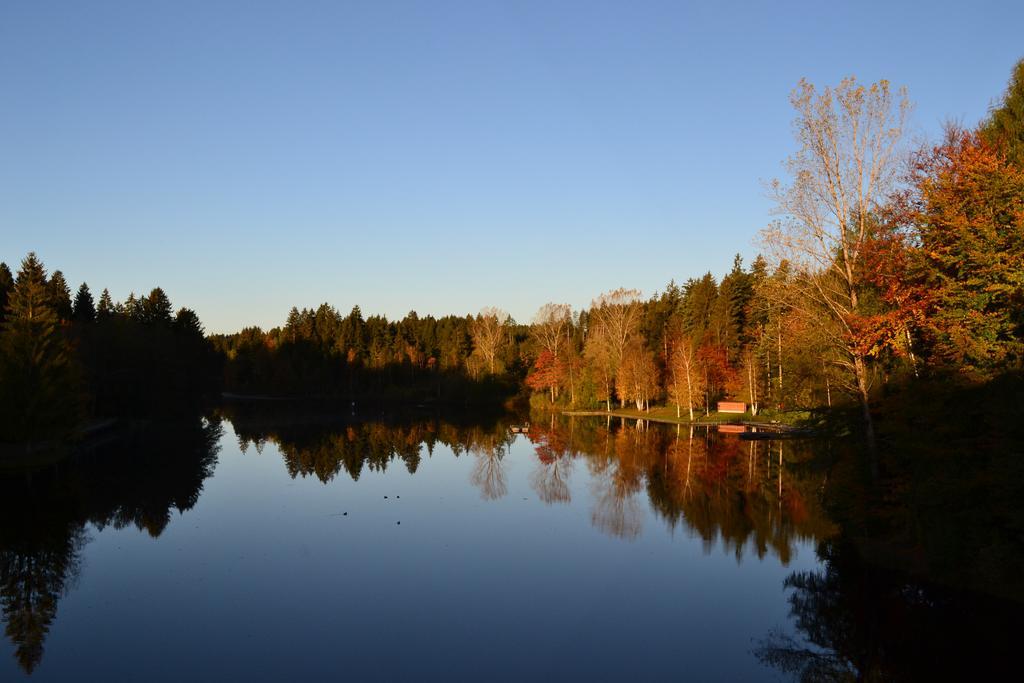 Hotel Waldsee Lindenberg im Allgäu Eksteriør billede