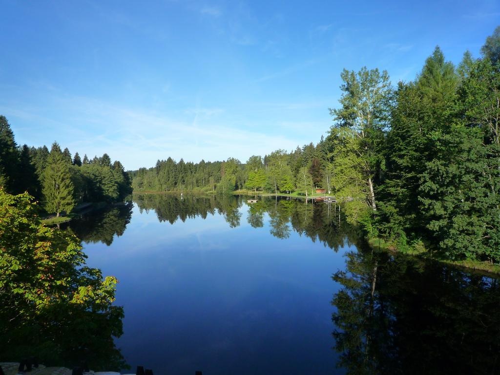 Hotel Waldsee Lindenberg im Allgäu Eksteriør billede