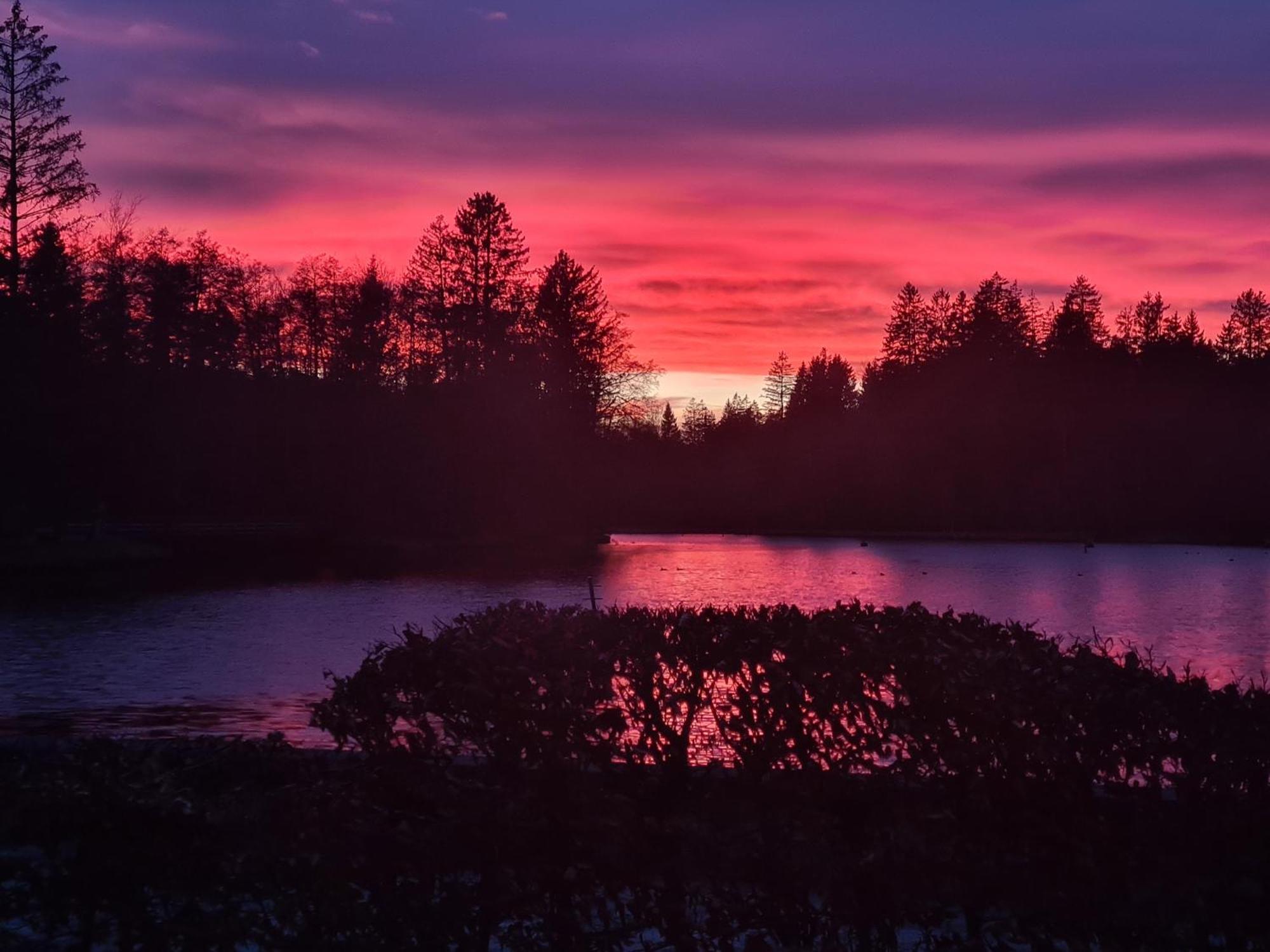 Hotel Waldsee Lindenberg im Allgäu Eksteriør billede