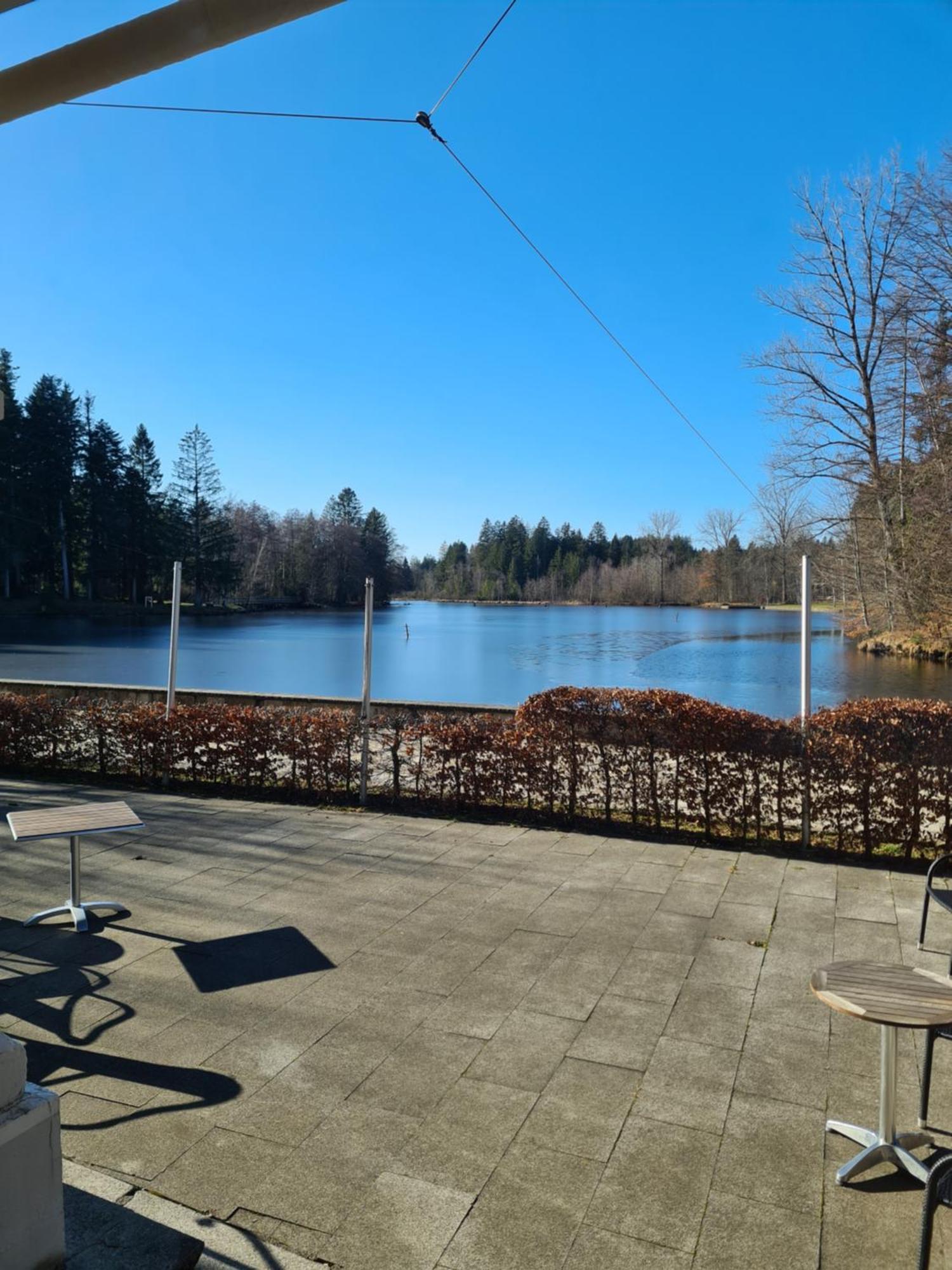 Hotel Waldsee Lindenberg im Allgäu Eksteriør billede