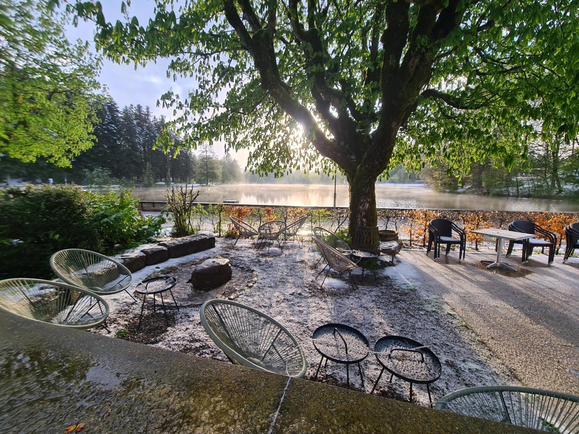 Hotel Waldsee Lindenberg im Allgäu Eksteriør billede