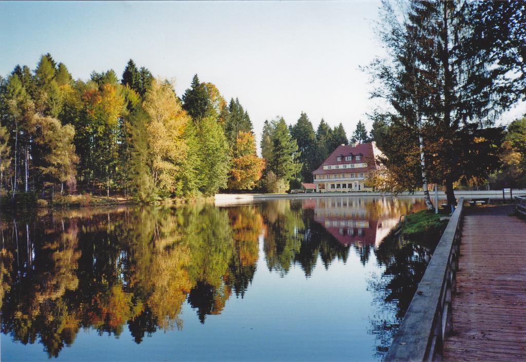 Hotel Waldsee Lindenberg im Allgäu Eksteriør billede